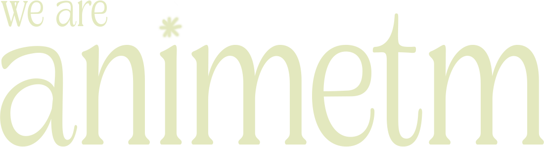 We are animetm.com